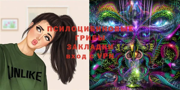 таблы Армянск