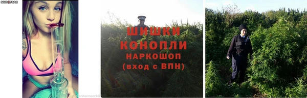 ALPHA PVP Балабаново